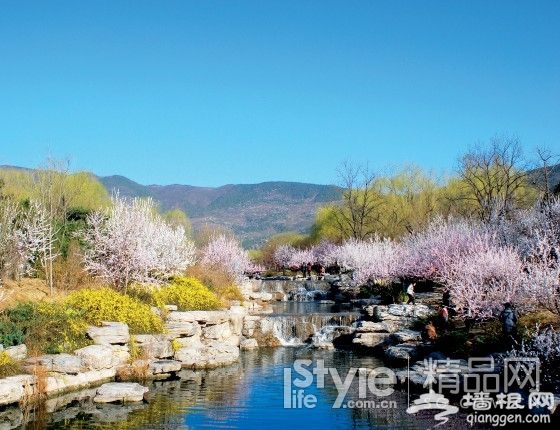 不出遠門就賞花 北京11大知名公園[牆根網]