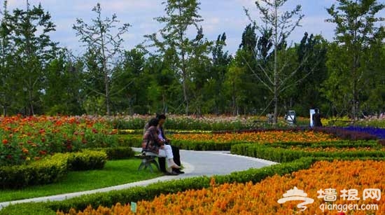 坐北京地鐵看風景 享受飛馳的美景(圖)