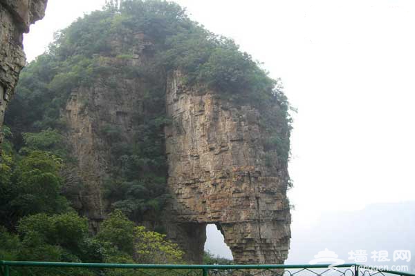 掛甲峪村：百裡桃花長廊 帶回你的桃花運(圖)