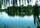 踏青北京“江南水鄉” 翠湖濕地燒烤看鳥兩不誤