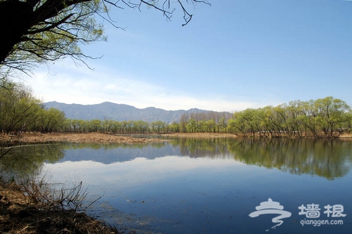 翠湖濕地美景 圖片來源:四十不立(搜狐博客)