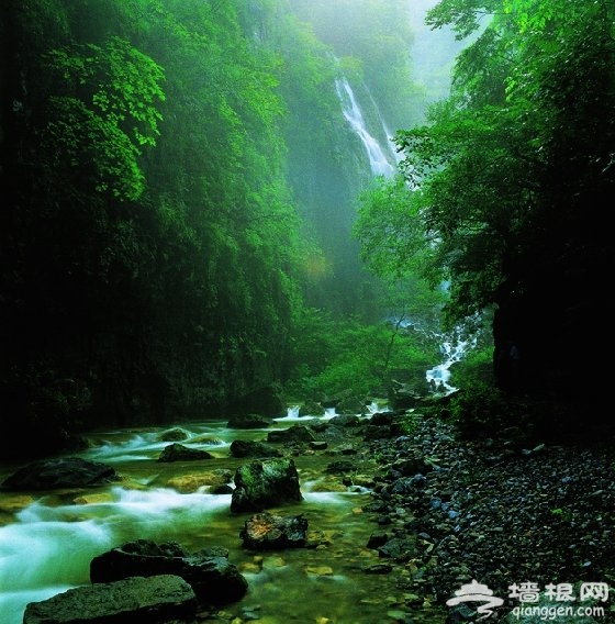 春天賞花野路子 自駕懷柔“四條溝”[牆根網]