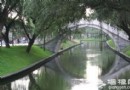 提籠架鳥貓狗斗 京城花鳥蟲魚市場轉一遭