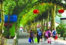 北線--岳家營村