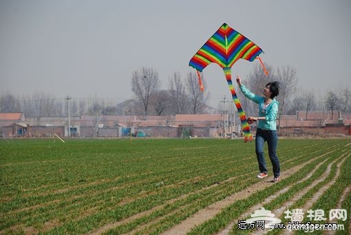 歡快的跑起來 攝影:王咩咩 歡快的跑起來 攝影:王咩咩