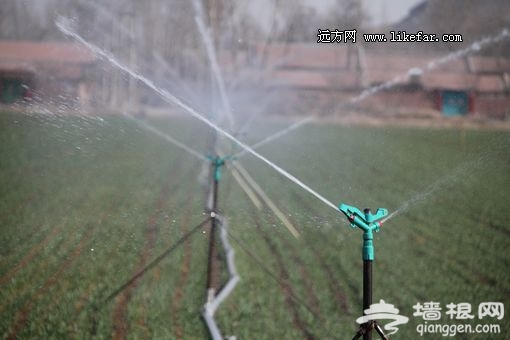 灌溉滋養 攝影：小莫