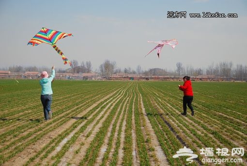 006暢快的跑起來 攝影:王咩咩 006暢快的跑起來 攝影:王咩咩