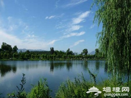 忙趁東風放紙鸢 北京最適合放風筝的旅游地