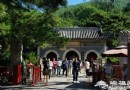玉蘭花下聽禅音 幽靜潭柘寺