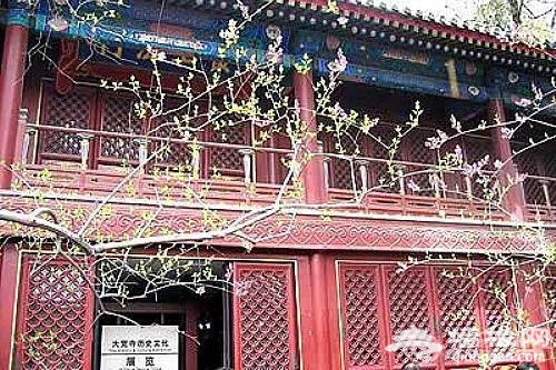 春季北京賞玉蘭攻略 溫婉幽香來[牆根網]