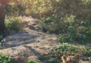 京郊動物園 早春的撒歡兒勝地