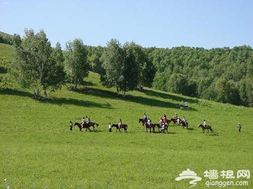 草原騎乘