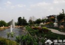 京郊尋春覓綠 森林公園裡綠地是享受
