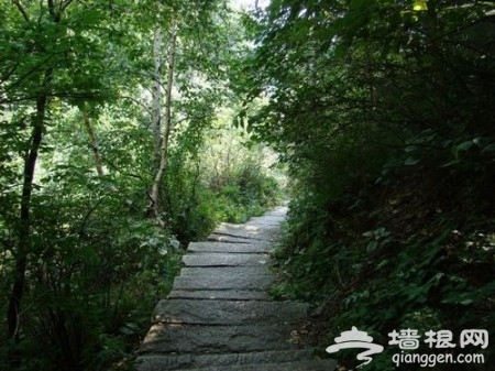 京郊尋春覓綠 森林公園裡綠地是享受[牆根網]