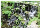 花飛草長四月天 北京踏青郊游好去處