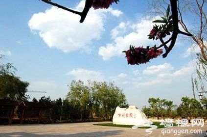 京城梨園 京城梨園