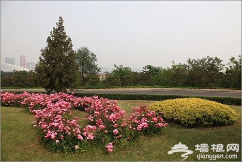 老山郊野公園 老山郊野公園