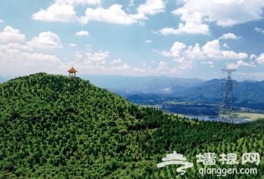 蟒山國家森林公園 蟒山國家森林公園