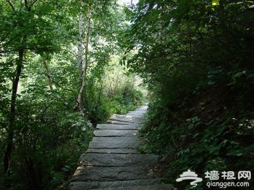 霧靈山 霧靈山