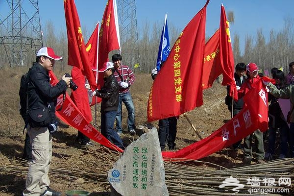 懷柔區橋梓林業植樹地 暫停“宅”的生活[牆根網]