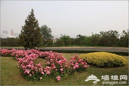 京郊踏青自助游 郊野公園攻略集錦(圖)