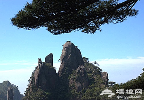 京郊徒步踏青 穿越在爛漫山花之中[牆根網]