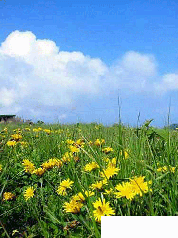 賞花登山賞美景 北京三月春游好去處