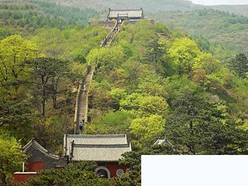 賞花登山賞美景 北京三月春游好去處