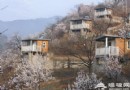 巴克公社 2011情人節愛寵三人行