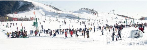 雪地裡撒會兒野京郊雪場家門口過瘾[牆根網]