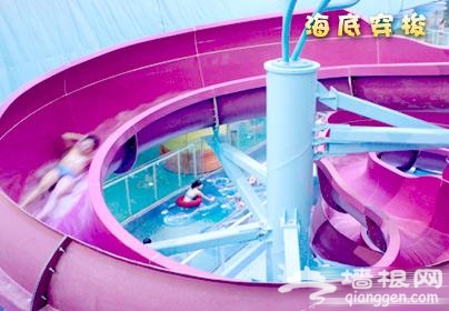 水立方嬉水樂園 11大項目精彩無極限