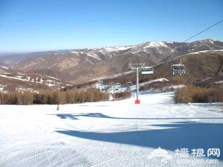 南山滑雪場：休閒為主戲雪賞雪為輔[牆根網]