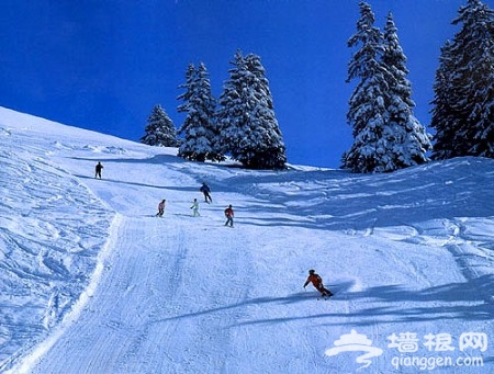 京郊北線滑雪場全線攻略(組圖)