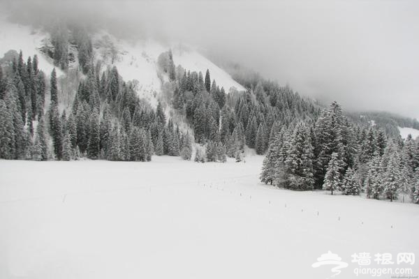 冬日裡的北國風光 北京十大觀雪聖地[牆根網]