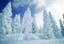 北京出發 尋找那些你不知道的冰雪秘境