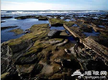 涠洲島 涠洲島