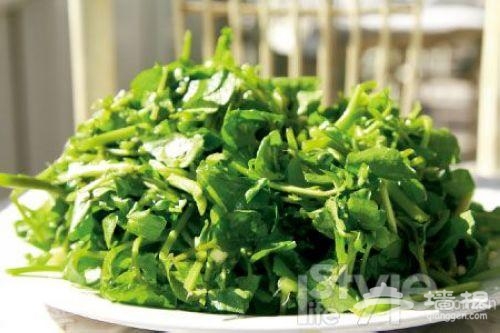 栗子宴的青菜 栗子宴的青菜