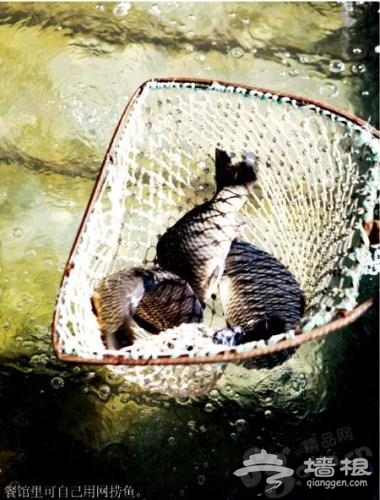 圍著灶台吃柴鍋魚 圍著灶台吃柴鍋魚