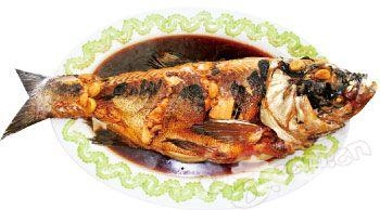 賞秋食圈特征 賞秋食圈特征