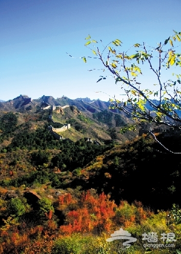 金山嶺長城旅游攻略[牆根網]