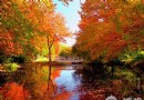 京郊賞紅葉攻略：北京賞紅葉十大去處