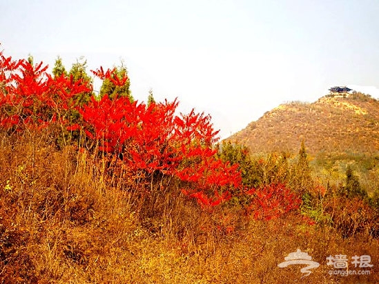 京郊賞紅葉攻略:北京賞紅葉十大去處[牆根網]