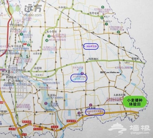 小麥播種體驗田方位示意圖 小麥播種體驗田方位示意圖