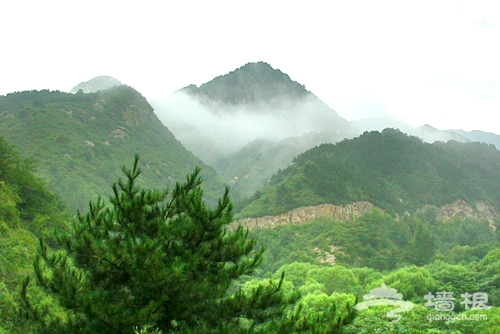 松山國家級自然保護區