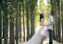 秋天的求愛聖地 布拉格農場聞香露營