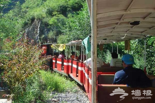 雙龍峽森林小火車穿越旅游攻略[牆根網]