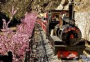 雙龍峽森林小火車穿越旅游攻略