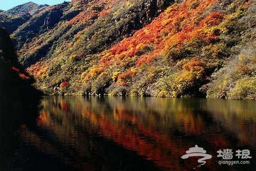 雙龍峽森林小火車穿越旅游攻略[牆根網]