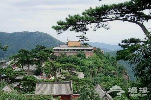 戒台寺：臥虎藏龍謎一樣的千年古寺廟[牆根網]