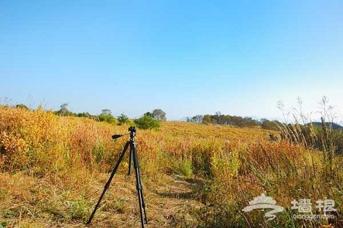 秋色無邊的黃草梁穿越自駕旅游攻略[牆根網]